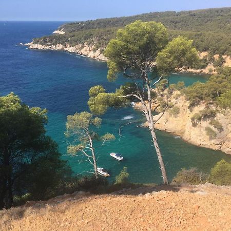 Sanary sur Mer Appartement 30m2 T2 avec terrasse Piscine 10min à pied de la plage Extérieur photo